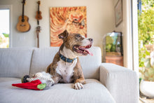 Load image into Gallery viewer, PLAY Willow's Mythical Gnome, rūķis, pīkst, čaukst, velkamas virves kājas un rokas, BONUSĀ - pīkstoša sensorā bumba, 10 cm