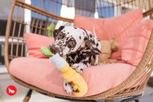 Load image into Gallery viewer, PLAY Tropical Paradise Canine Cerveza - Alus pudele