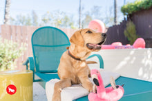 Load image into Gallery viewer, PLAY Tropical Paradise Flamingo Float - Flamingo-peldriņķis