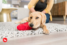 Load image into Gallery viewer, PLAY Tropical Paradise Wagging Watermelon - Arbūza šķēle