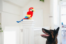 Load image into Gallery viewer, PLAY Fetching Flock Parrot, papagailis, spēcināts audums, pīkst, čaukst, BONUSĀ - pīkstoša sensorā bumba, 40 cm