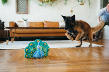 Load image into Gallery viewer, PLAY Fetching Flock Peacock, pāvs, čaukst, ar 2 pīkstuļiem, 32 cm