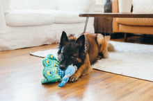 Load image into Gallery viewer, PLAY Fetching Flock Peacock, pāvs, čaukst, ar 2 pīkstuļiem, 32 cm