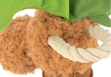 Load image into Gallery viewer, Tropical Paradise Puppy Palm - Palma