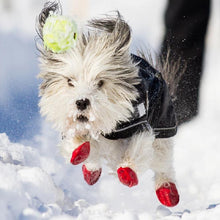 Load image into Gallery viewer, PAWZ gumijas suņu zābaki, 12 gab.