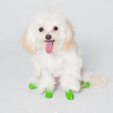 Load image into Gallery viewer, PAWZ gumijas suņu zābaki, 12 gab.