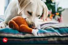 Load image into Gallery viewer, PLAY Holiday Classic Whole Turkey - Tītara cepetis