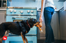 Load image into Gallery viewer, PLAY Holiday Classic Whole Turkey - Tītara cepetis