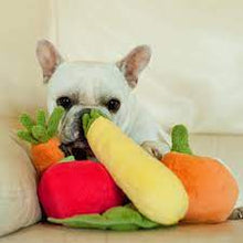 Load image into Gallery viewer, PLAY Garden Fresh Zucchini - Cukini