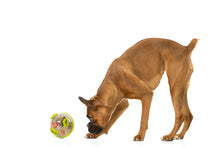 Load image into Gallery viewer, PLAY Wobble Ball Treat Toy - Gardumu spēļmanta sunim