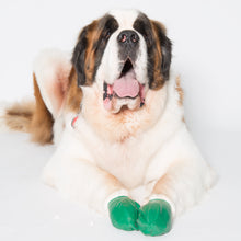 Load image into Gallery viewer, PAWZ gumijas suņu zābaki, 12 gab.