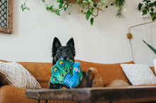 Load image into Gallery viewer, PLAY Fetching Flock Peacock, pāvs, čaukst, ar 2 pīkstuļiem, 32 cm