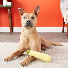 Load image into Gallery viewer, PLAY Garden Fresh Zucchini - Cukini