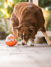 Load image into Gallery viewer, PLAY Wobble Ball Treat Toy - Gardumu spēļmanta sunim