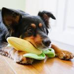 Load image into Gallery viewer, PLAY Garden Fresh Corn - Kukurūza