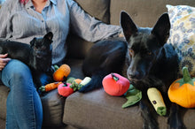 Load image into Gallery viewer, PLAY Garden Fresh Carrot - Burkāns