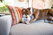 Load image into Gallery viewer, PLAY Willow's Mythical Yeti, sniega cilvēks, 5 pīkstuļi dažādās skaņās, čaukst, 23x29cm