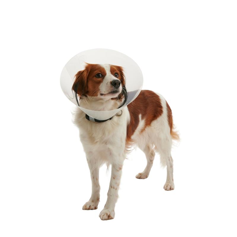 BUSTER CLICK pēcoperāciju apkakle sunim un kaķim