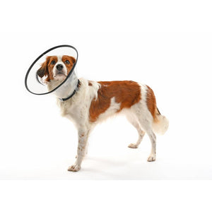 BUSTER COMFORT pēcoperāciju apkakle sunim un kaķim