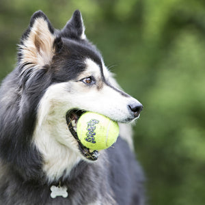 KONG Airdog SqueakAir Ball, M izmērs