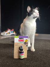 Load image into Gallery viewer, KONG Cat Premium kaķumētras aerosols 30 ml
