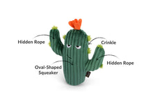 Load image into Gallery viewer, PLAY Blooming Buddies Prickly Pup Cactus, kaktuss, iestrādāta virve, pīkst, čaukst, 22 cm
