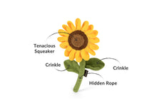 Load image into Gallery viewer, PLAY Blooming Buddies Sassy Sunflower, saulespuķe, iestrādāta virve, čaukst, 25 cm, BONUSĀ - pīkstoša sensorā bumba
