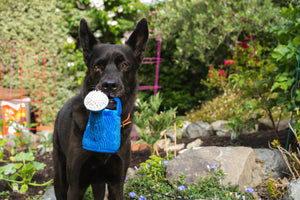 PLAY Blooming Buddies Wagging Watering Can, lejkanna, čaukst un pīkst, ar rokturiem, 15 cm