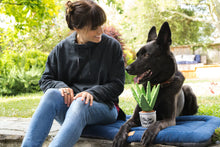 Load image into Gallery viewer, PLAY Blooming Buddies Aloe-ve You Plant, alveja puķupodā, čaukst, ar kustību skaņu, 24 cm
