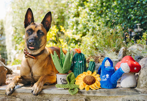 PLAY Blooming Buddies Wagging Watering Can, lejkanna, čaukst un pīkst, ar rokturiem, 15 cm