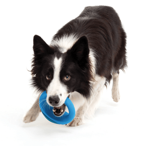 ROGZ Pop-Upz Fetch Toy, S/M izmērs