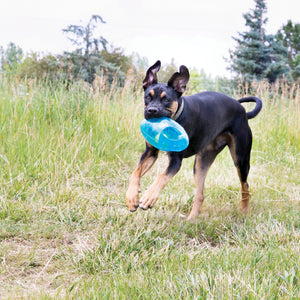 KONG Jumbler regbija bumba, izturīga gumijas bumba ar rokturiem, pīkst, bonusā Airdog bumba, M/L