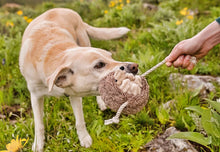 Load image into Gallery viewer, PLAY Forest Friends Hedgehog, Ezis, velkamas virves, 16 cm, BONUSĀ - pīkstoša sensorā bumba
