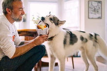 Load image into Gallery viewer, P.L.A.Y. International Classic Chippy Chews, Zivs ar frī kartupeļiem, 3 mantas vienā, visas pīkst, zivs un tūta čaukst

