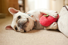 Load image into Gallery viewer, PLAY Garden Fresh Apple - Ābols
