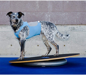 FitPAWS Wobble Board līdzsvara-balansēšanas disks Ø 90 cm