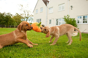 PLAY Garden Fresh Pumpkin - Ķirbis