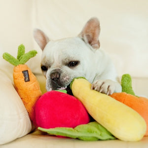 PLAY Garden Fresh Carrot - Burkāns