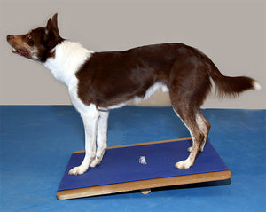 FitPAWS Giant Rocker Board 75 x 75 cm - līdzsavara - balansēšanas dēlis