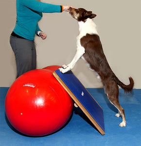 FitPAWS Giant Rocker Board 75 x 75 cm - līdzsavara - balansēšanas dēlis