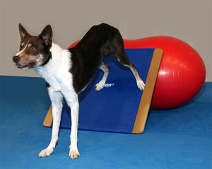 FitPAWS Giant Rocker Board 75 x 75 cm - līdzsavara - balansēšanas dēlis