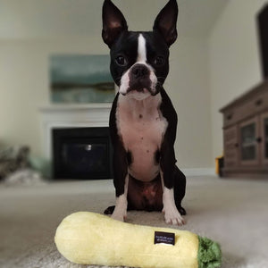 PLAY Garden Fresh Zucchini - Cukini