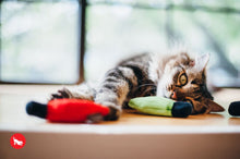 Load image into Gallery viewer, PLAY Feline Frenzy Kitty De'Lights - Gaismiņas
