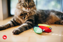 Load image into Gallery viewer, PLAY Feline Frenzy Kitty De'Lights - Gaismiņas
