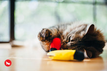 Load image into Gallery viewer, PLAY Feline Frenzy Kitty De'Lights - Gaismiņas
