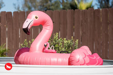 Load image into Gallery viewer, PLAY Tropical Paradise Flamingo Float - Flamingo-peldriņķis
