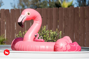 PLAY Tropical Paradise Flamingo Float - Flamingo-peldriņķis