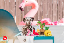 Load image into Gallery viewer, PLAY Tropical Paradise Flamingo Float - Flamingo-peldriņķis
