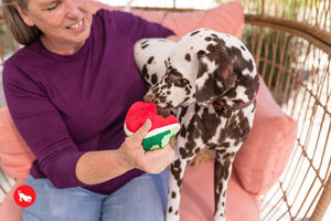 PLAY Tropical Paradise Wagging Watermelon - Arbūza šķēle