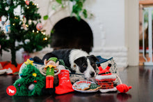 Load image into Gallery viewer, PLAY Merry Woofmas Good Dog Stocking - Zeķe ar kaulu
